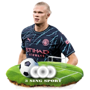 Top Provider Section