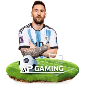 Top Provider Section