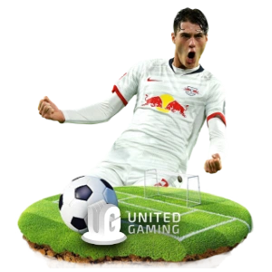 Top Provider Section